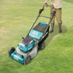 image.psd-7-2.png